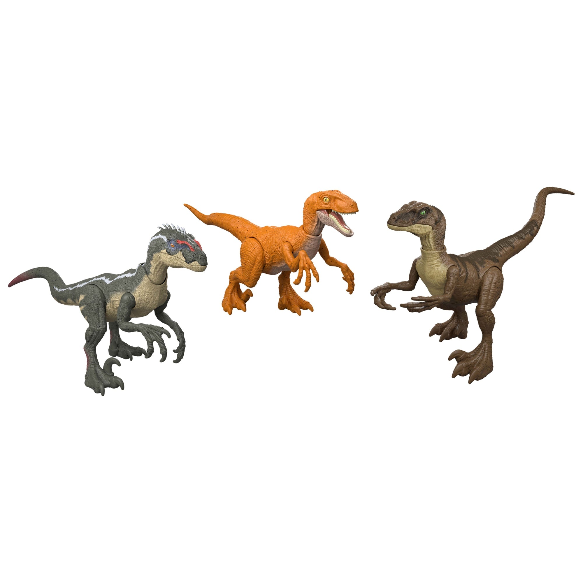 Large Product Image